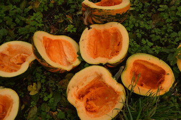 A lot of yellow, orange and green pumpkins.