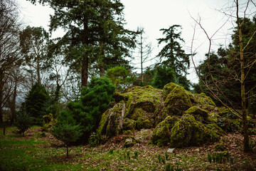Blarney Castle and Gardens