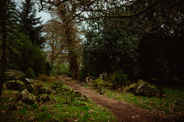 Fototapeta premium Blarney Castle and Gardens