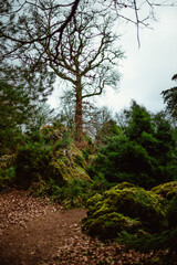 Blarney Castle and Gardens