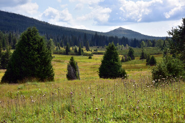 Březník is a secluded place located in the wide valley of the Luzenský brook, 7.5 km southeast of Modrava in the cadastral area of Filipova Huť in the village of Modrava. The whole locality is one of 