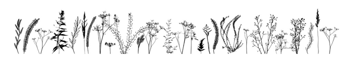 Black silhouettes of grass, flowers and herbs isolated on white background. Hand drawn sketch flowers. Vector illustration