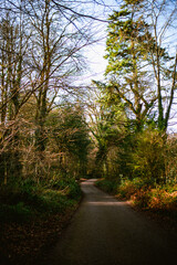Fototapeta premium Blarney Castle and Gardens