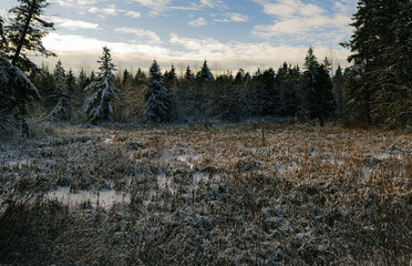Snowy marsh at sunset