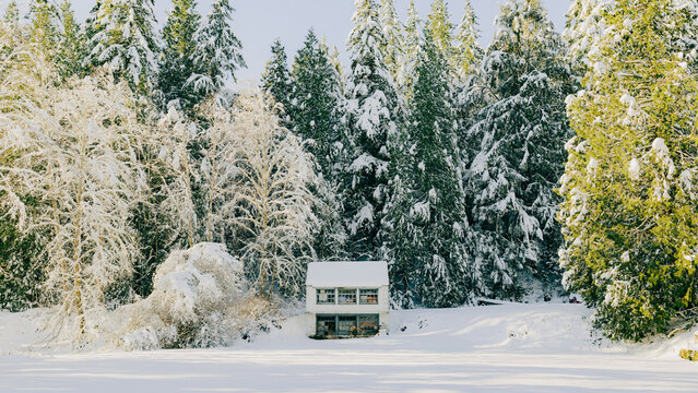 Single house on a snowy field on a sunny day