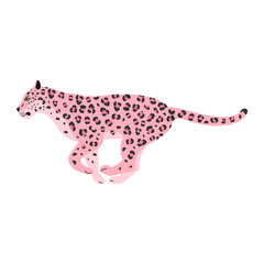 Vector flat running pink leopard isolated on white background