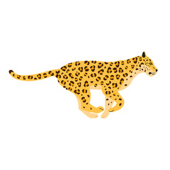 Vector flat running leopard isolated on white background