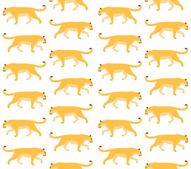 Vector seamless pattern of flat lioness isolated on white background