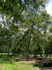 선정릉 공원 안의 자연 경관 / Natural scenery in Seonjeongneung Park 