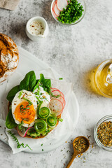 Healthy, natural summer food. Serving of sandwiches with whole grain bread, avocado, eggs, radish, cucumber on white board and white background. Lunch or brunch ideas