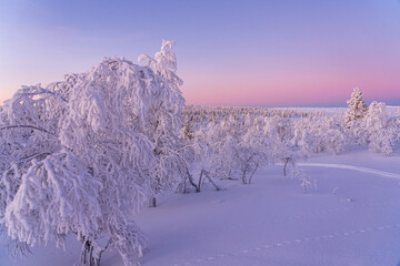 Sunset in Lapland
