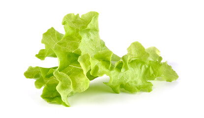 Salad leaf. Lettuce, isolated on white background. High resolution image.