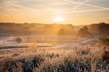 Fototapeta na wymiar misty frosty sunriuse over heathland