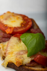 grilled bread with tomatoes and cheese