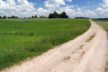 Dirt road between green meadows, Poland