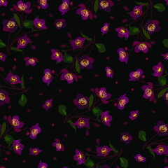 Anemone flowers seamless pattern. Stock vector illustration eps10 
