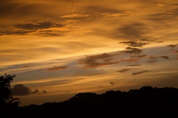 Atardecer ocre 5