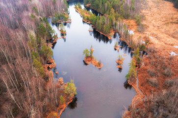 forest lake with small islands in autumn, top view