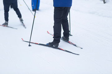 Cross country skilling.Skiers are skiing in the winter forest.