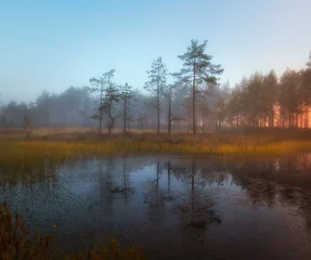 Fotobehang Autumn sunset in the swamp. Natural landscape in the Ozernoye Swamp National Park with fog, yellowed grass, and small pine trees. © Lana Kray