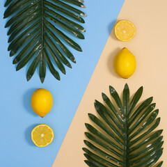 Summer composition with green palm leaves and yellow fresh lemons on bright blue and pastel beige...