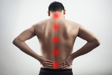 red spot on human body spinal cord in isolated background