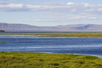 EL CALAFATE ARGENTINA
