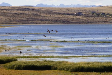 EL CALAFATE ARGENTINA