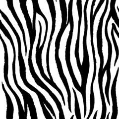 Zebra seamless pattern vector