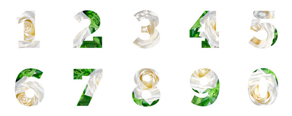 Numbers one to ten and zero isolated on white. Close-up on white rose flowers and green fern in...