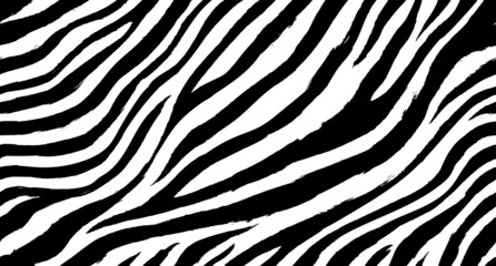 Fototapeta na wymiar Zebra seamless pattern vector
