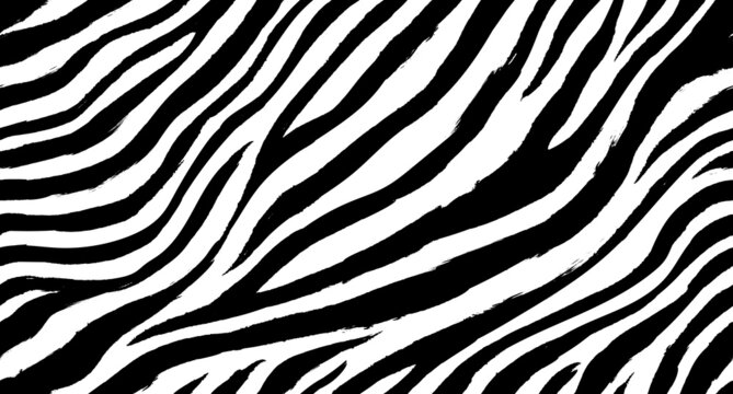 Zebra seamless pattern vector