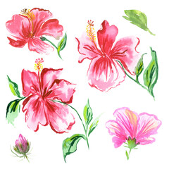 Hibiscus watercolor set. Tropical flowers and leaves collection. Red, pink exotic blossom for textile, fashion, wallpaper, banner print.