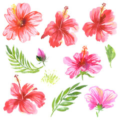 Hibiscus watercolor set. Tropical flowers and leaves collection. Red, pink exotic blossom for textile, fashion, wallpaper, banner print.