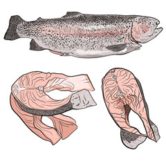 Salmon, trout. Fish and steaks. Vector illustration isolated on white background.