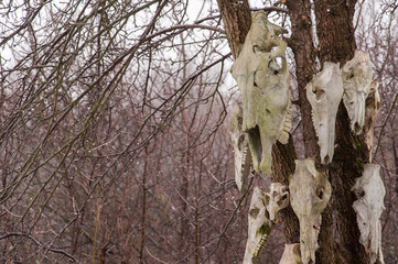 Old abandoned haunted magic totem on the lake in the middle of the forest