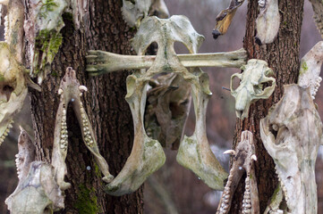 Old abandoned haunted magic totem on the lake in the middle of the forest