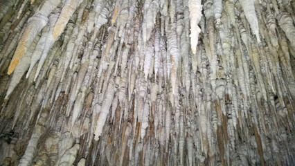 Obraz premium background