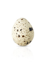 Naklejka na ściany i meble Single quail egg isolated on white background 