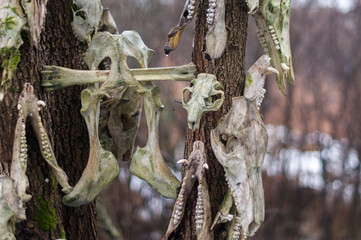 Old abandoned haunted magic totem on the lake in the middle of the forest
