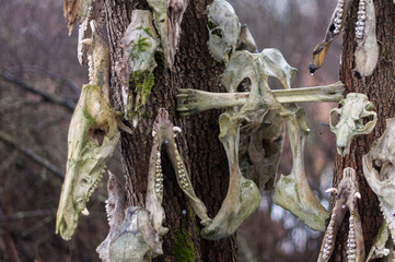 Old abandoned haunted magic totem on the lake in the middle of the forest