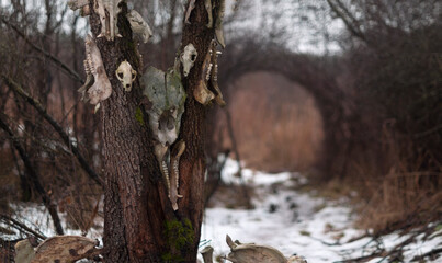 Old abandoned haunted magic totem on the lake in the middle of the forest
