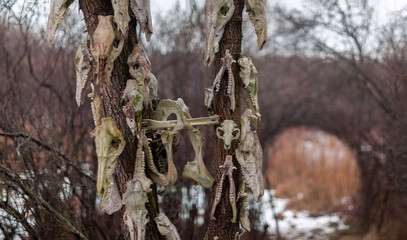 Old abandoned haunted magic totem on the lake in the middle of the forest