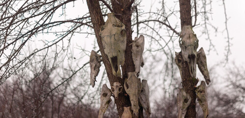 Old abandoned haunted magic totem on the lake in the middle of the forest