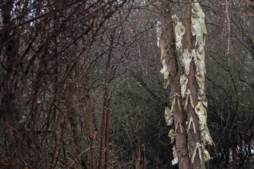 Obraz premium Old abandoned haunted magic totem on the lake in the middle of the forest