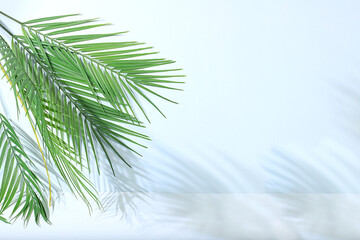 Empty showcase for display or presentation of cosmetic products, scene for design, abstract background with palm leaves and shadows, modern creative display, selective focus