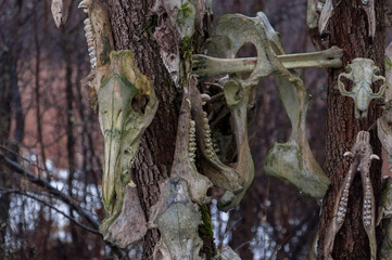 Old abandoned haunted magic totem on the lake in the middle of the forest