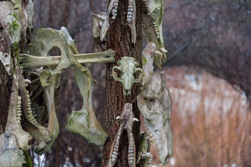Old abandoned haunted magic totem on the lake in the middle of the forest