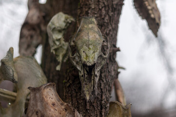 Old abandoned haunted magic totem on the lake in the middle of the forest
