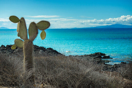 Turquoise sea island, Las Bachas, Galapagos